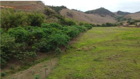 Minas Recuperando Áreas Degradadas – A Importância do Cadastro Ambiental Rural (CAR)