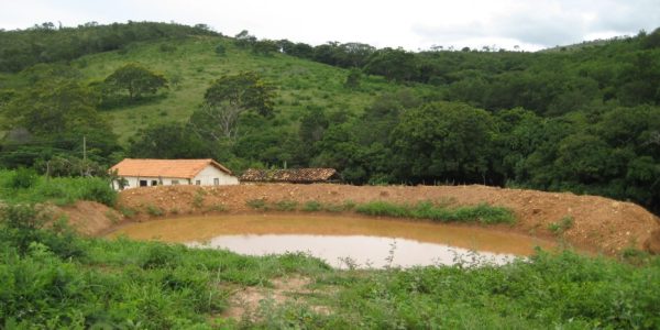 Pró Veredas em Três Marias: iniciativa promove recuperação de veredas e fortalecimento dos recursos hídricos no Cerrado Mineiro