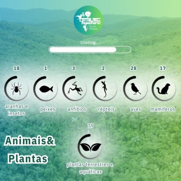 Projeto Fauna e Flora de Ouro Preto: passos finais de uma jornada inspiradora