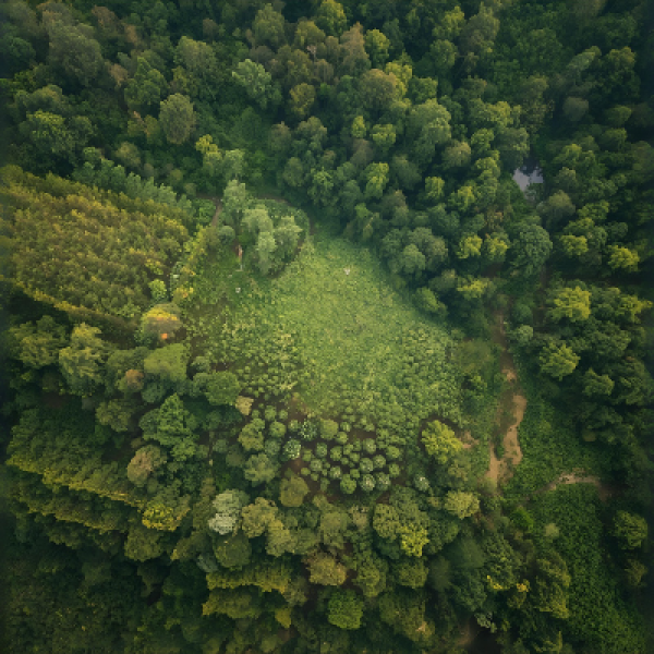 Evolução sobre a atuação em áreas degradadas