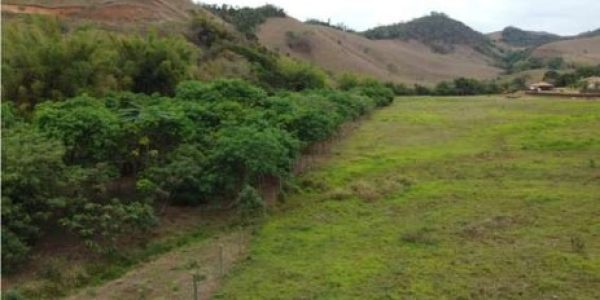 Minas Recuperando Áreas Degradadas – A Importância do Cadastro Ambiental Rural (CAR)